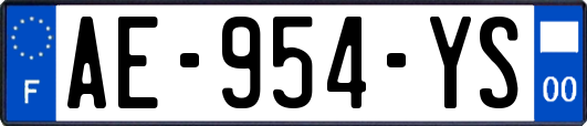AE-954-YS