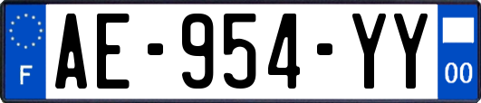 AE-954-YY