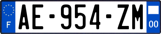 AE-954-ZM