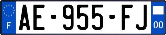 AE-955-FJ