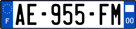 AE-955-FM
