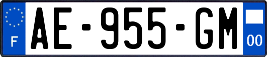 AE-955-GM