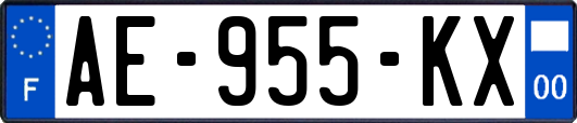 AE-955-KX