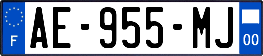AE-955-MJ