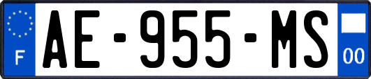 AE-955-MS