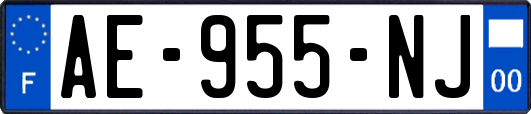AE-955-NJ