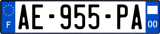 AE-955-PA