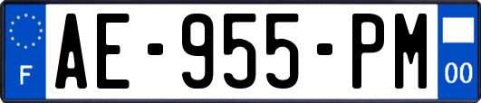 AE-955-PM