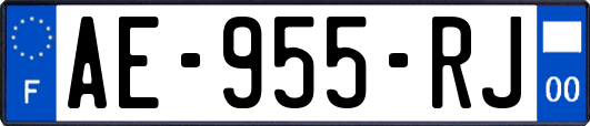 AE-955-RJ