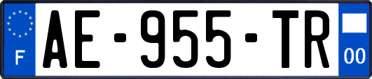 AE-955-TR