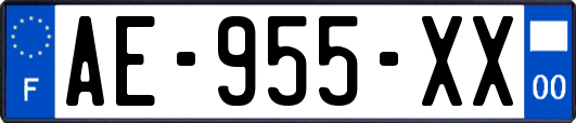 AE-955-XX