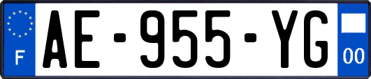 AE-955-YG
