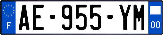 AE-955-YM