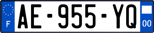 AE-955-YQ