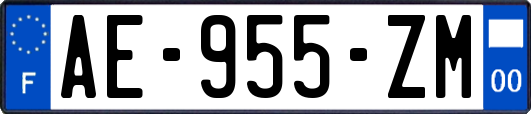 AE-955-ZM