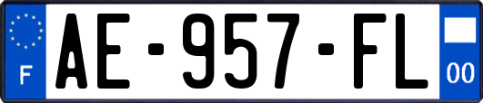 AE-957-FL
