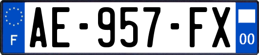 AE-957-FX