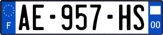 AE-957-HS