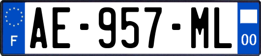 AE-957-ML
