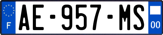 AE-957-MS
