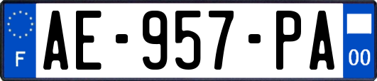 AE-957-PA