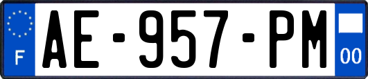 AE-957-PM