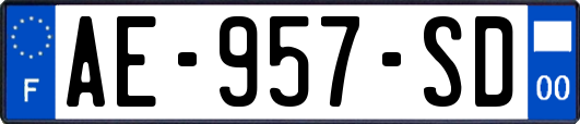 AE-957-SD