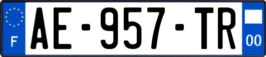 AE-957-TR