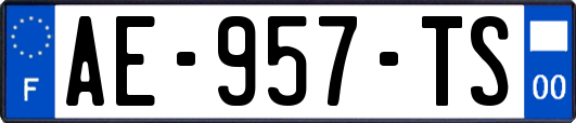 AE-957-TS