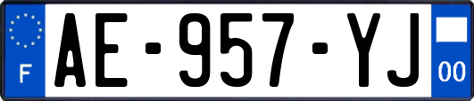 AE-957-YJ