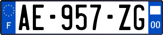 AE-957-ZG