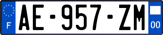 AE-957-ZM