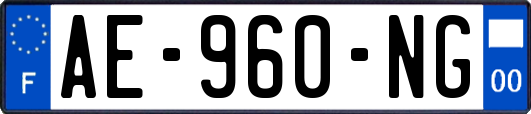 AE-960-NG