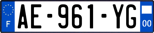 AE-961-YG