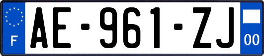 AE-961-ZJ