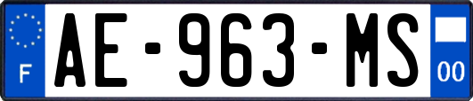 AE-963-MS