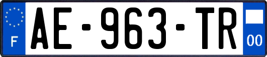 AE-963-TR