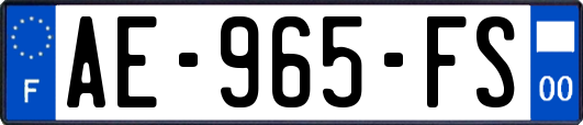 AE-965-FS