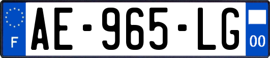 AE-965-LG