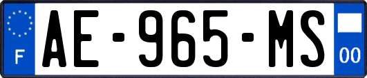 AE-965-MS