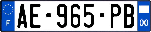 AE-965-PB