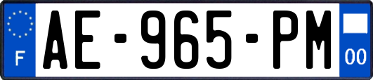 AE-965-PM