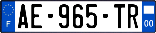 AE-965-TR