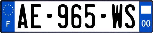 AE-965-WS