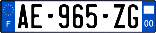 AE-965-ZG