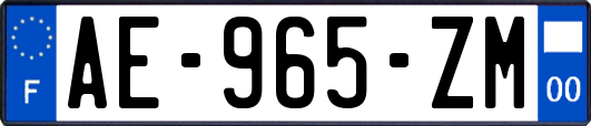 AE-965-ZM