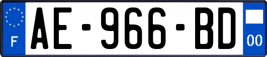 AE-966-BD