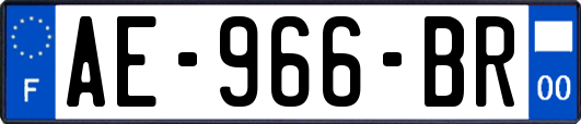 AE-966-BR