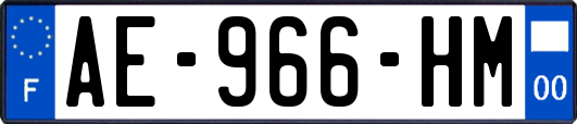 AE-966-HM