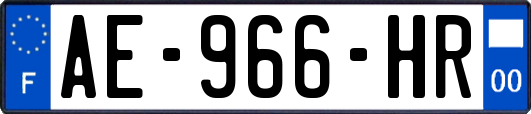 AE-966-HR